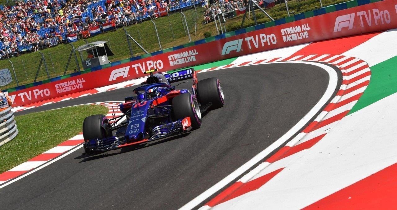 GP Hongrie 2018 - Gaslu - Toro Rosso @ DR