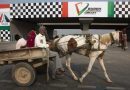 F1 Indian Palace