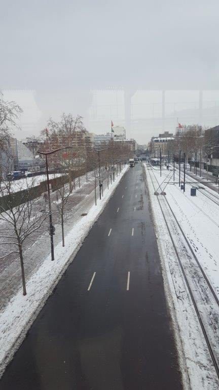 Retromobile 2018 - Il neigeait @ Olivier Rogar