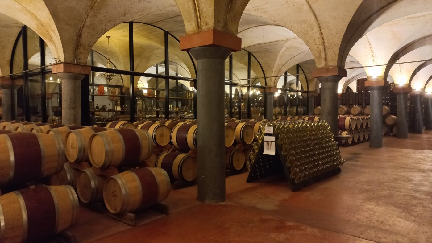 Delea - Losone